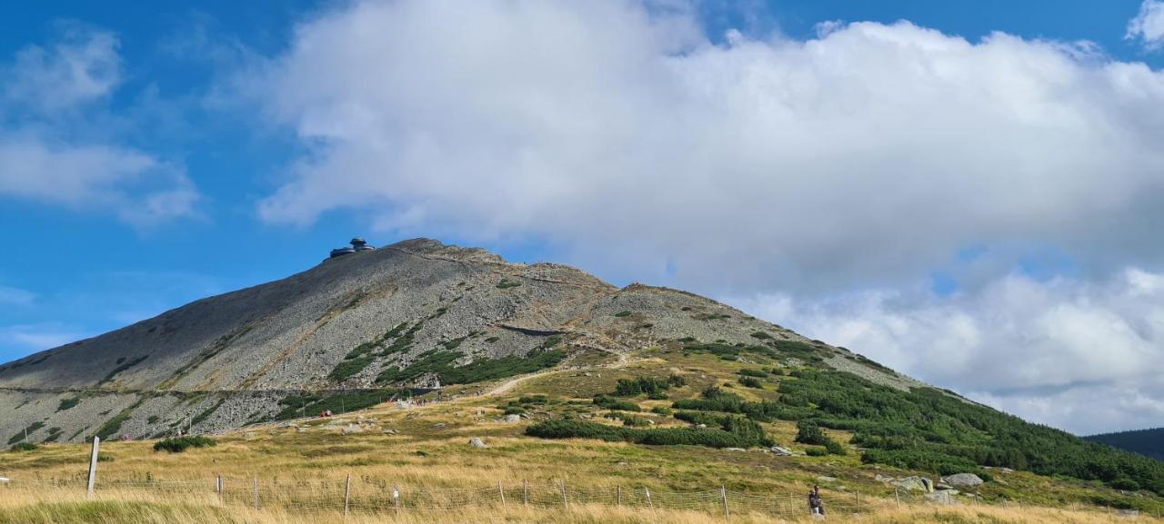 Rest Zone - Mountain