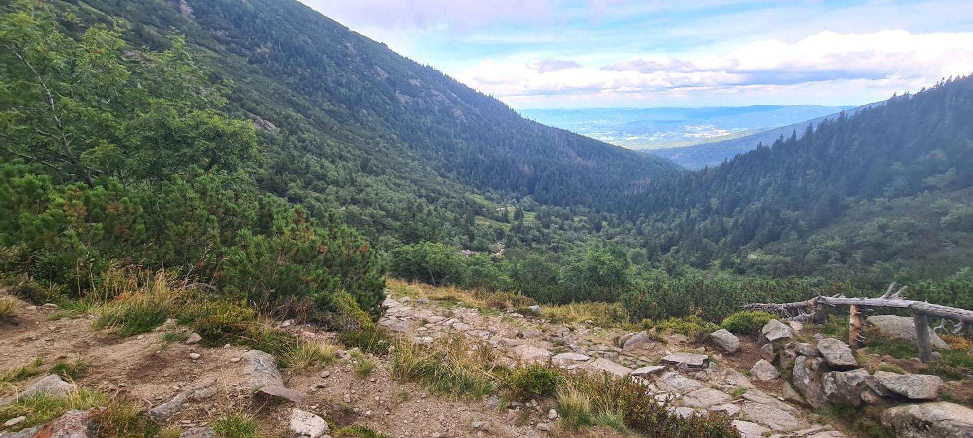 Rest Zone - Mountain Sciegny