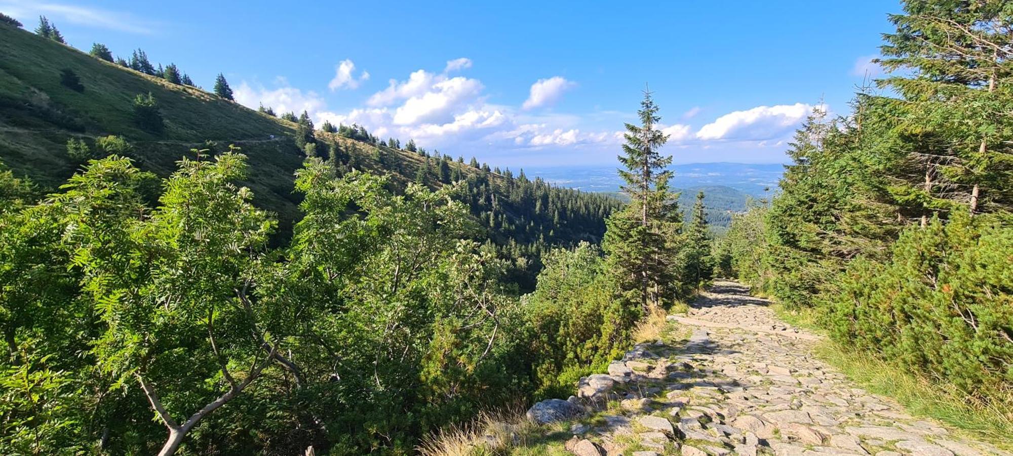 Rest Zone - Mountain